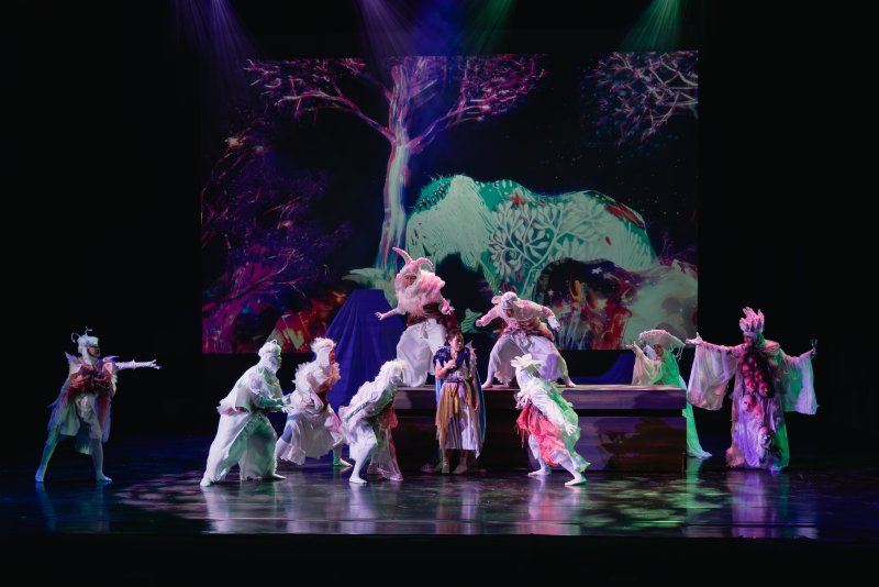 2025年度製作蝶變纏身